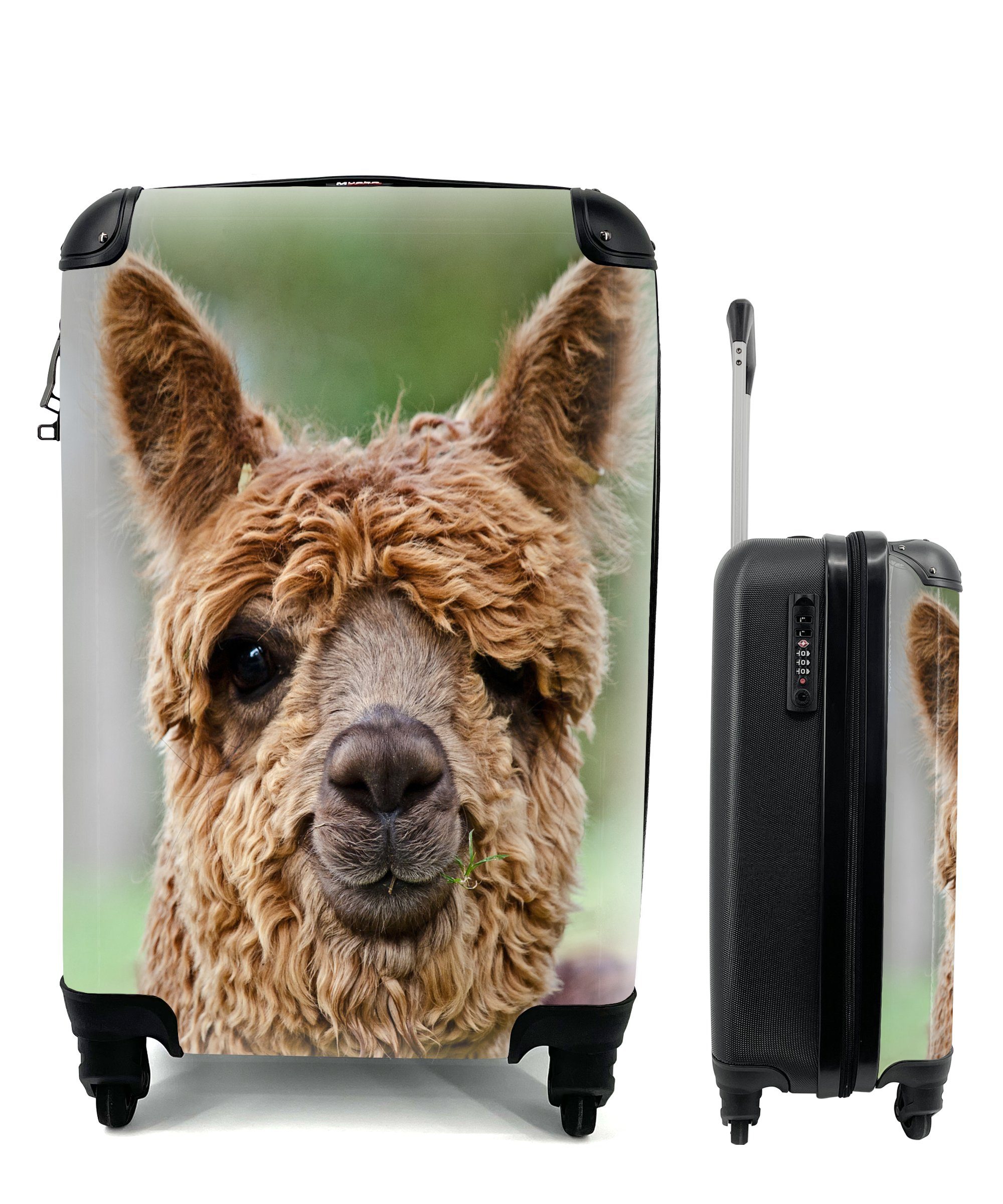 Tier, Handgepäck mit für - Handgepäckkoffer 4 Reisetasche Porträt rollen, Reisekoffer Rollen, Ferien, MuchoWow Alpaka - Trolley,