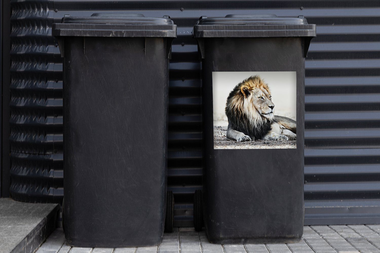 Container, Tiere - MuchoWow Abfalbehälter St), - Farbe Porträt Mülltonne, Mülleimer-aufkleber, Sticker, Wandsticker (1