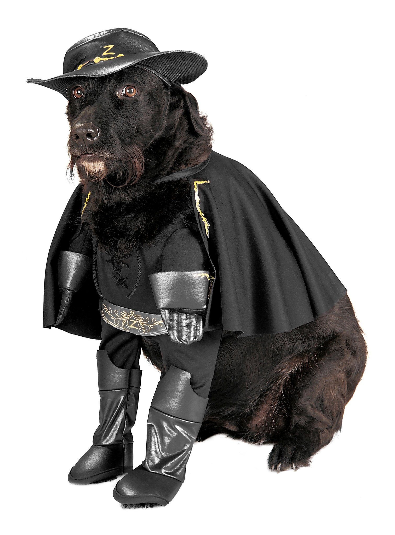 Hundekostüm Zorro