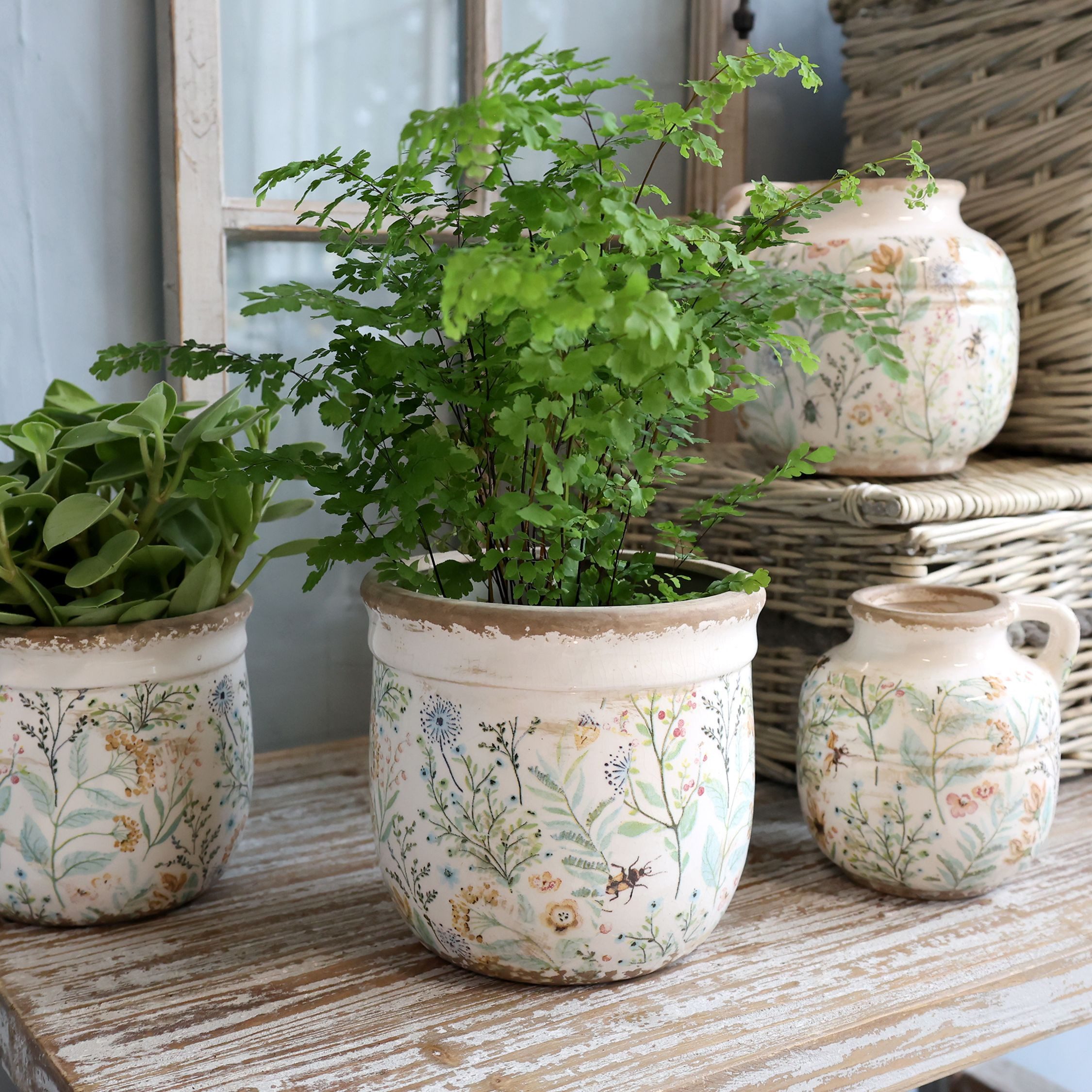 Annimuck Übertopf Chic Antique Maxime Übertopf günstig online kaufen
