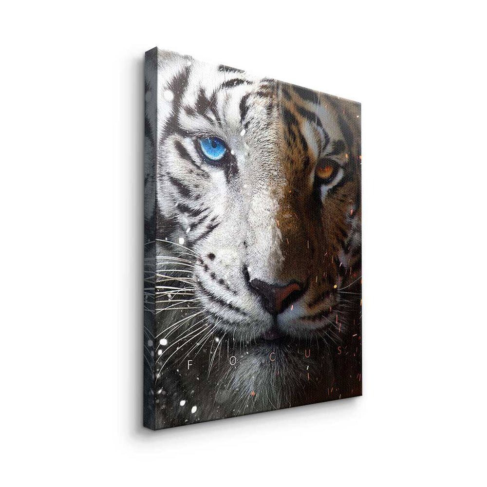 Tiger Face Leinwandbild, Rahmen Focus Rahmen Leinwandbild weißer DOTCOMCANVAS® mit premium