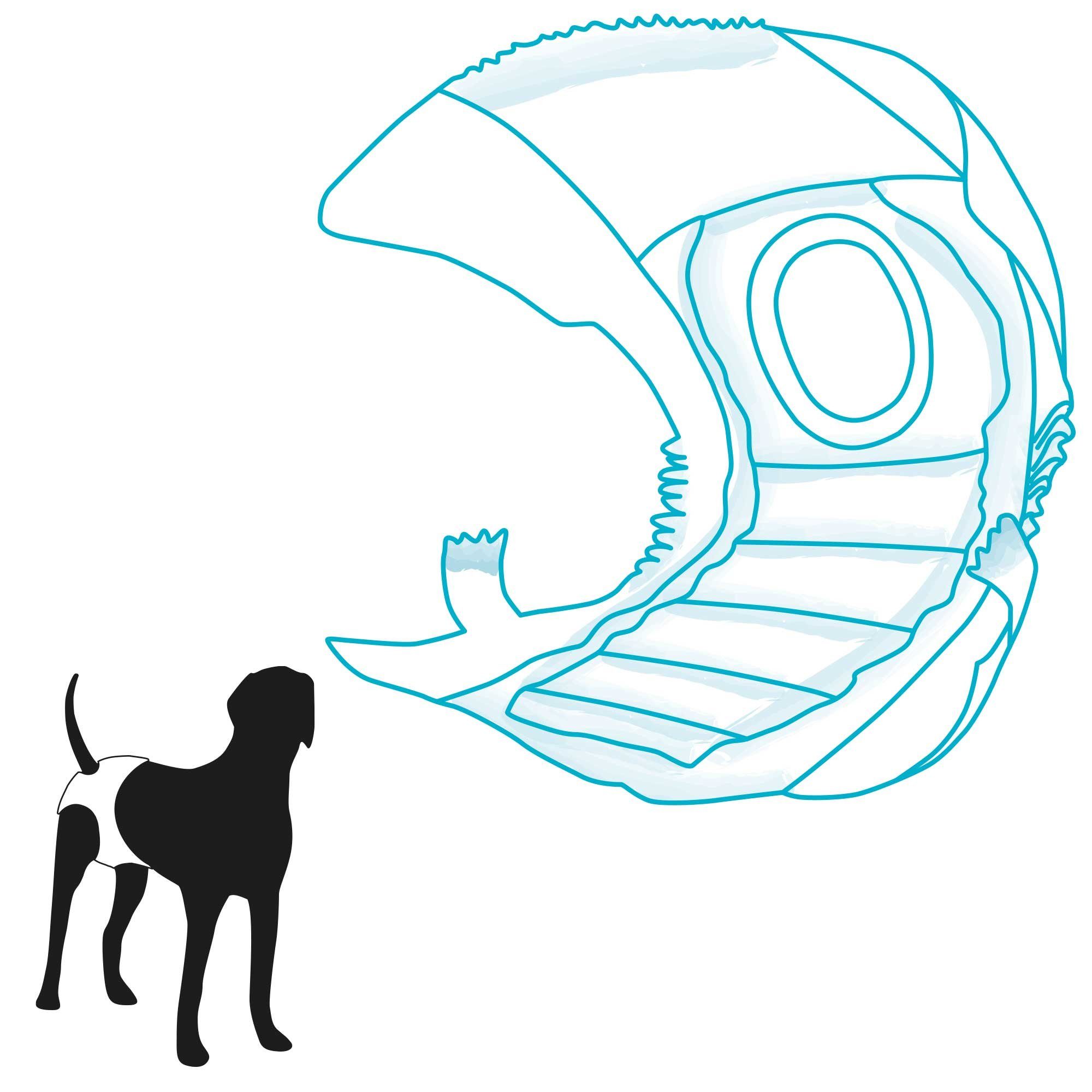 Windel, Hündinnen haftendem stark Hundewindel - Einweg für Mit Hundewindeln TRIXIE Klebeverschluss