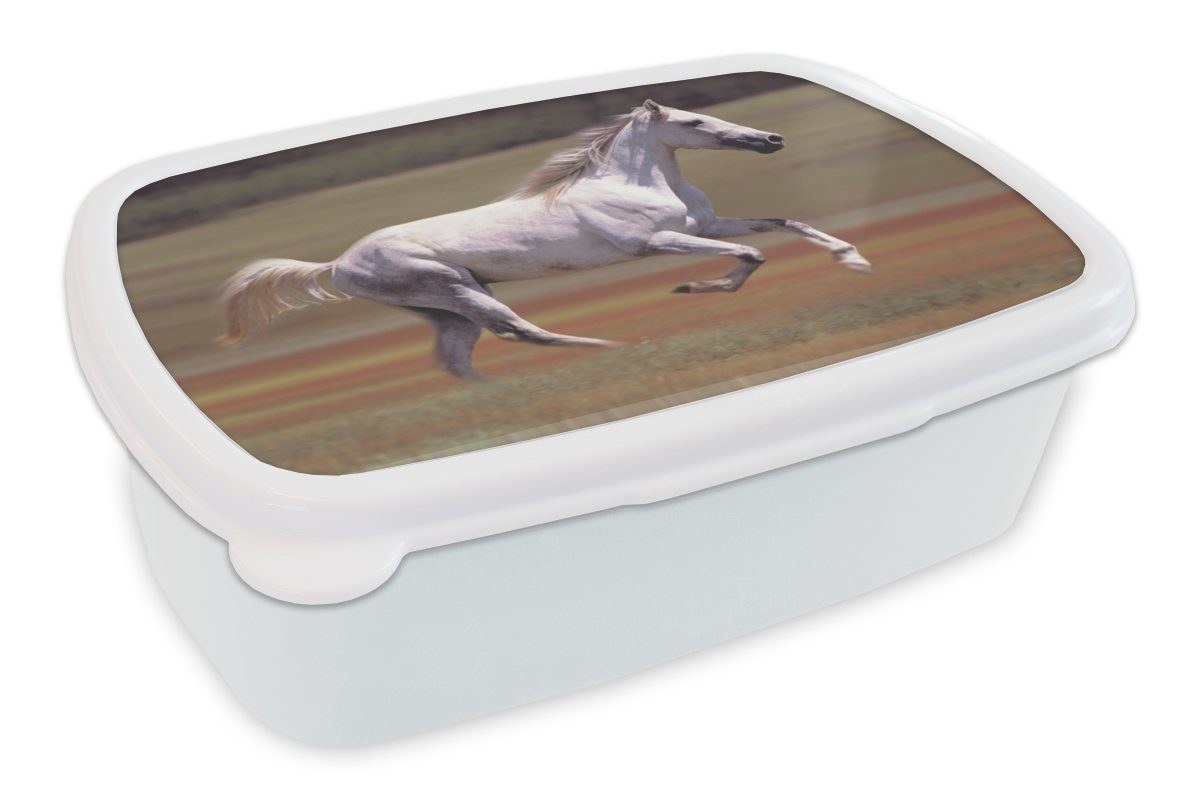 MuchoWow Lunchbox Pferd - Licht - Gras, Kunststoff, (2-tlg), Brotbox für Kinder und Erwachsene, Brotdose, für Jungs und Mädchen weiß