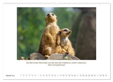 CALVENDO Wandkalender Der Tierkalender mit Zitaten, Weisheiten und Sprüchen (Premium, hochwertiger DIN A2 Wandkalender 2023, Kunstdruck in Hochglanz)
