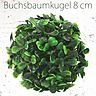 Buchsbaumkugel / Durchmesser: ca. 8 cm