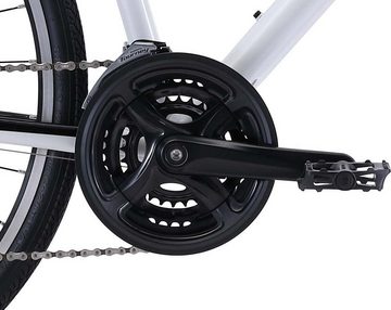 FUJI Bikes Fitnessbike Absolute 2.1 ST, 21 Gang Shimano Tourney Schaltwerk, Kettenschaltung