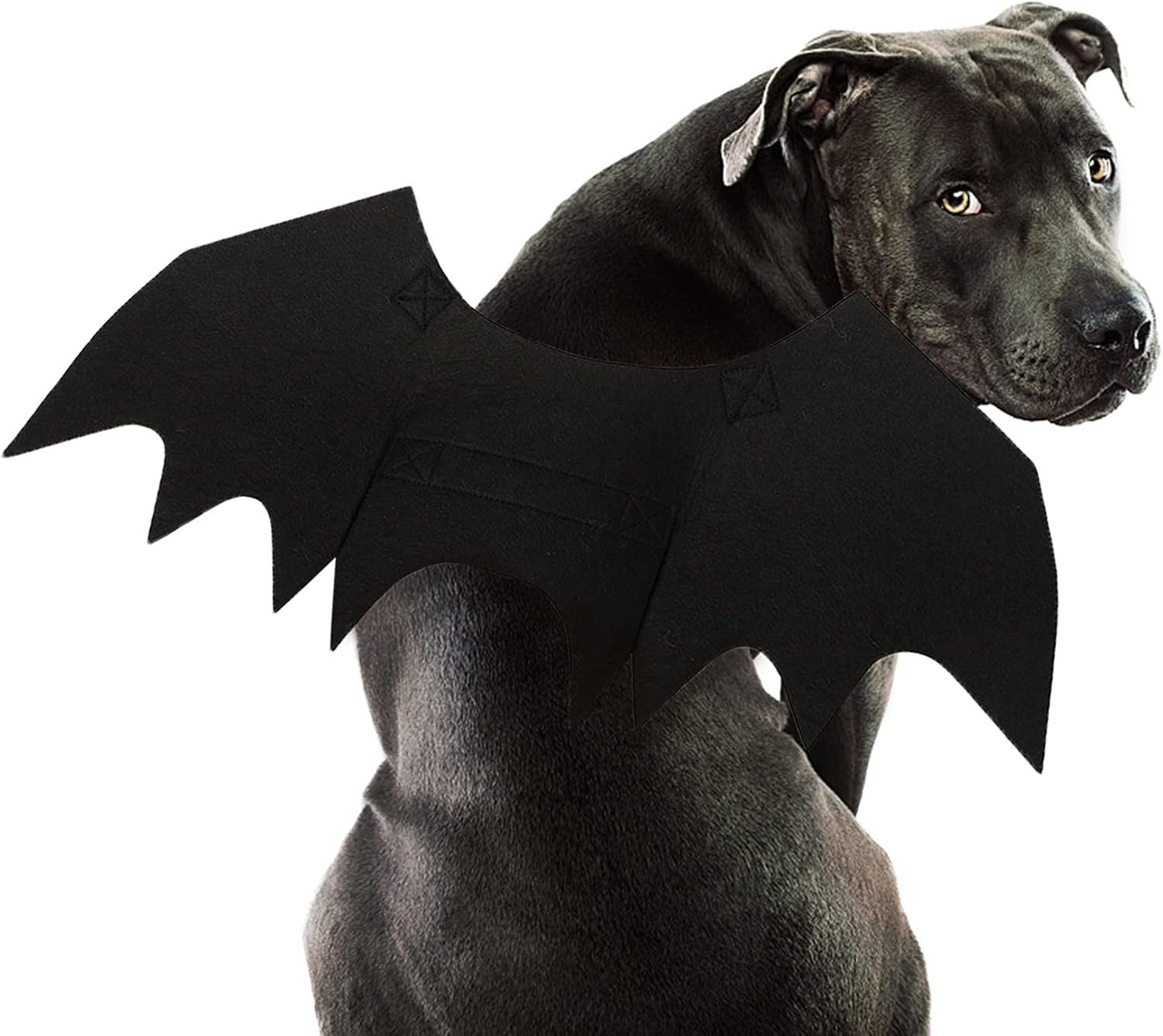 FELIXLEO Business-Kostüm Hund Fledermaus Kostüm Halloween Haustier Fledermausflügel Cosplay