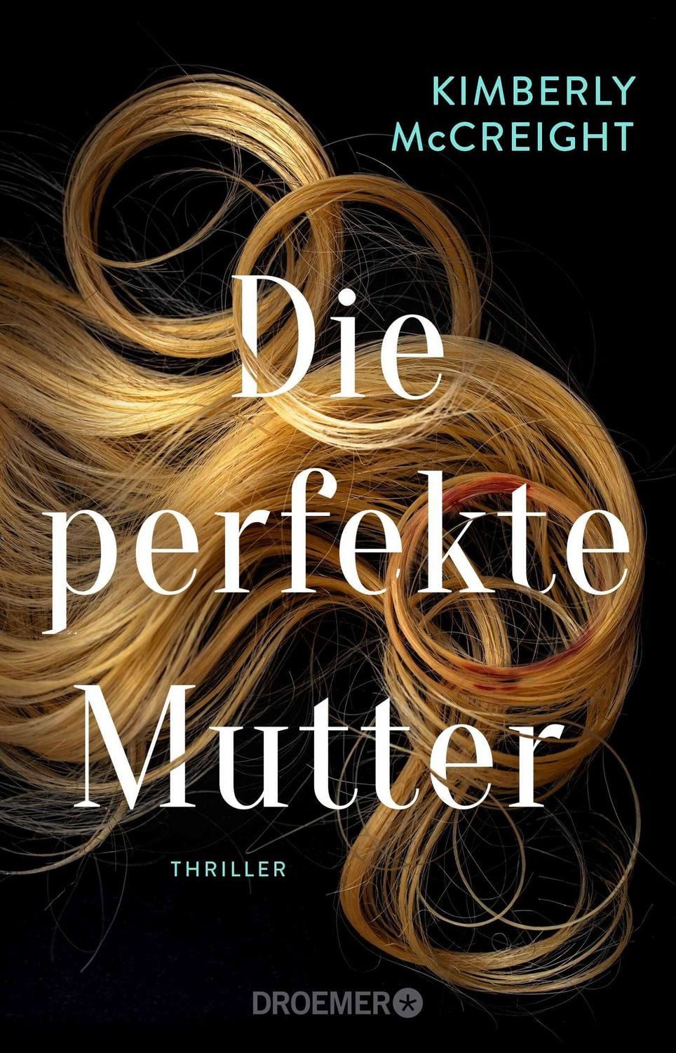 Die perfekte Mutter / Kimberly McCreight