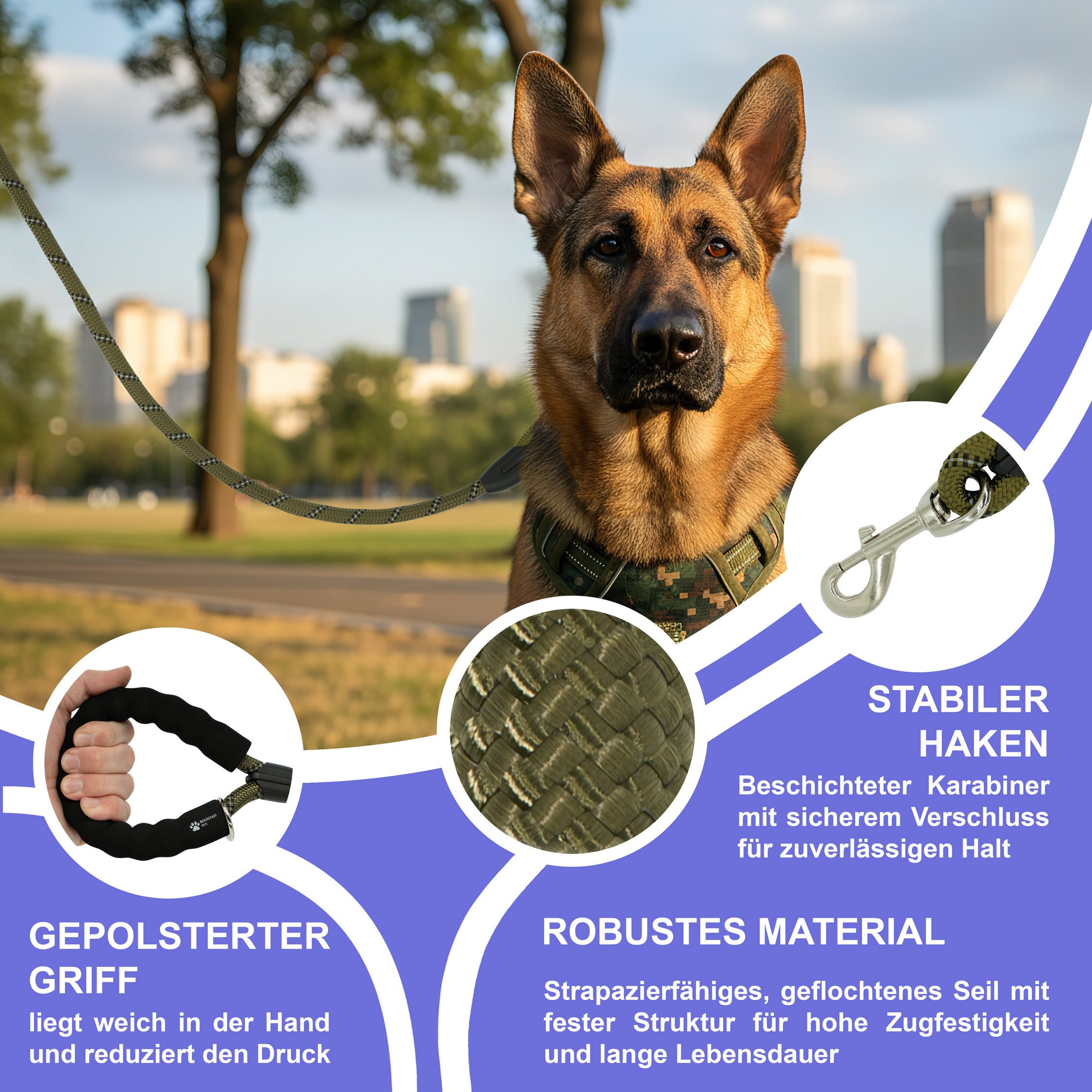 Reichstadt Hundeleine RS Pets Führleine Nylon 25RSP084, Nylon, Ergonomischer EVA-gepolsterter Griff für Blasenschutz