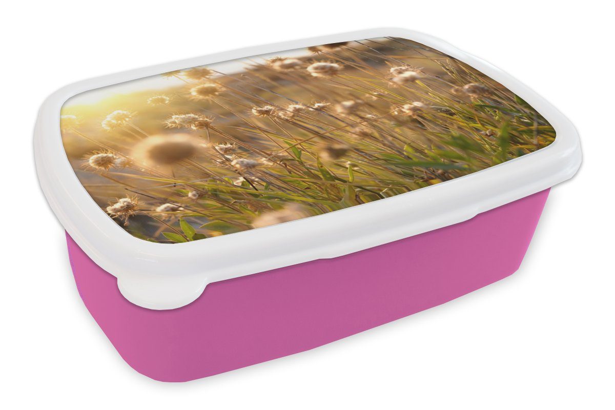 Kunststoff, MuchoWow Horizont, Blumen rosa (2-tlg), Mädchen, - - - Erwachsene, Pflanzen für Kunststoff Sonne Brotbox Brotdose Lunchbox Kinder, Natur Snackbox, -