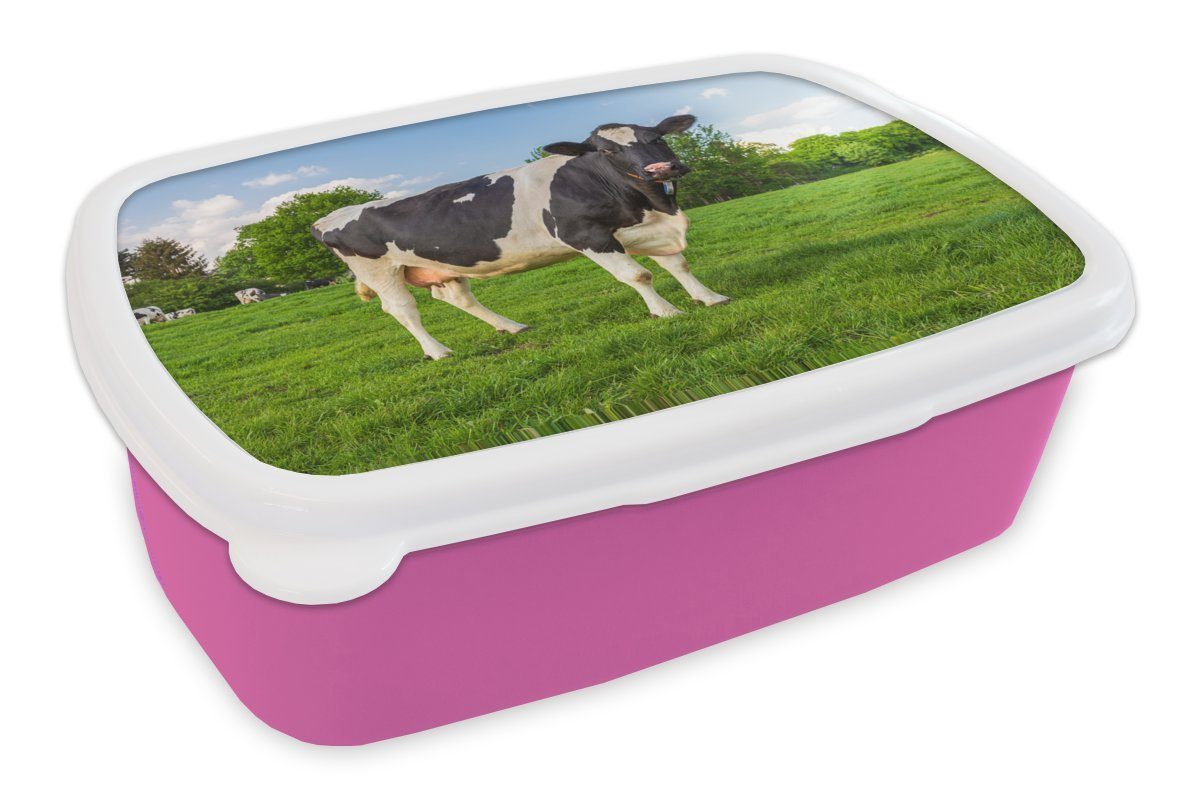 MuchoWow Lunchbox Kuh - Gras - Tiere, Kunststoff, (2-tlg), Brotbox für Erwachsene, Brotdose Kinder, Snackbox, Mädchen, Kunststoff rosa