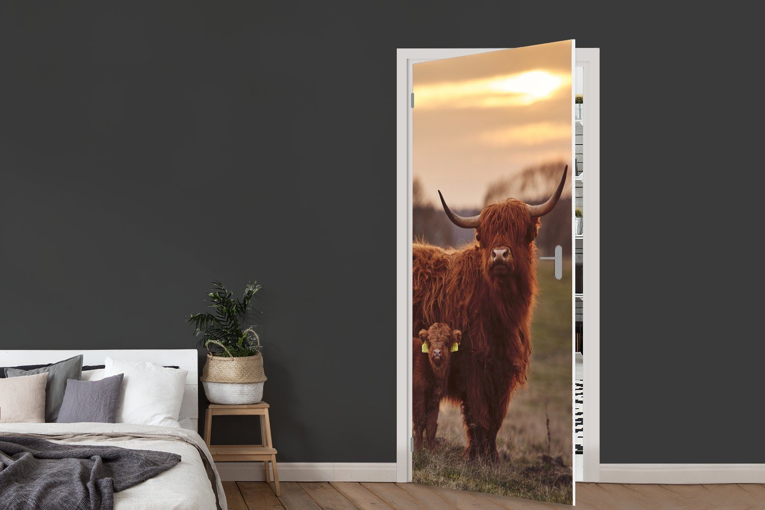 MuchoWow Türtapete Schottische - (1 für Tiere - Kuh, cm Sonnenuntergang bedruckt, Highlander Matt, - Landschaft Tür, Türaufkleber, 75x205 St), - Fototapete