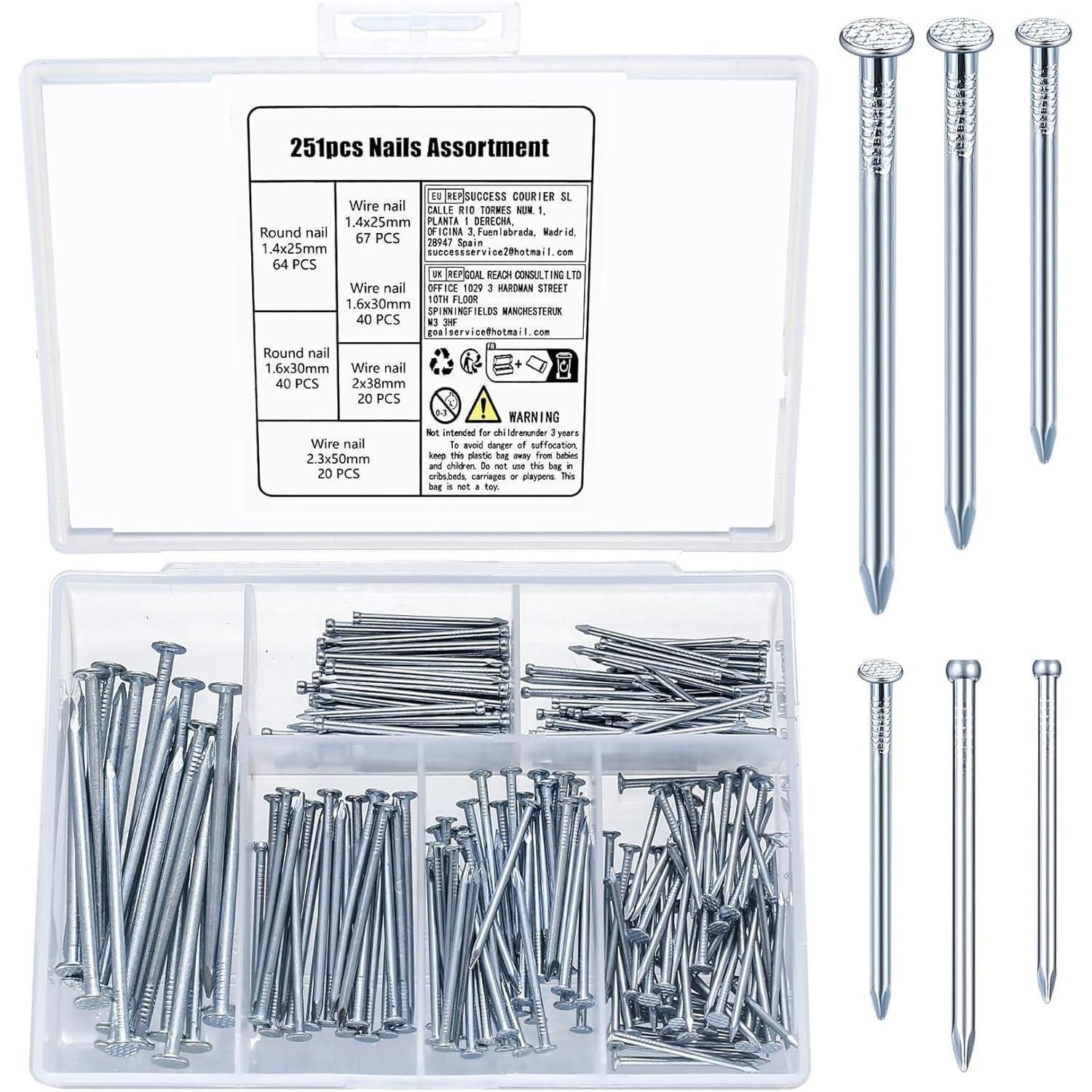 LuxusKollektion Nagel Nägel Flachkopfnägel Wandnägel Bilderrahmen Set 251 251pcs Silber