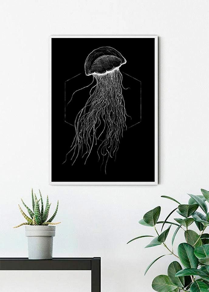 St), Jellyfish Kinderzimmer, Black, Tiere Komar (1 Schlafzimmer, Poster Wohnzimmer