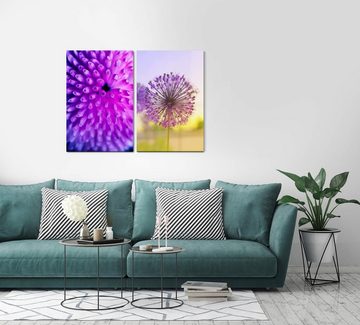 Sinus Art Leinwandbild 2 Bilder je 60x90cm Koralle Violett Pusteblume Sommer Sonne Warm Sonnenschein