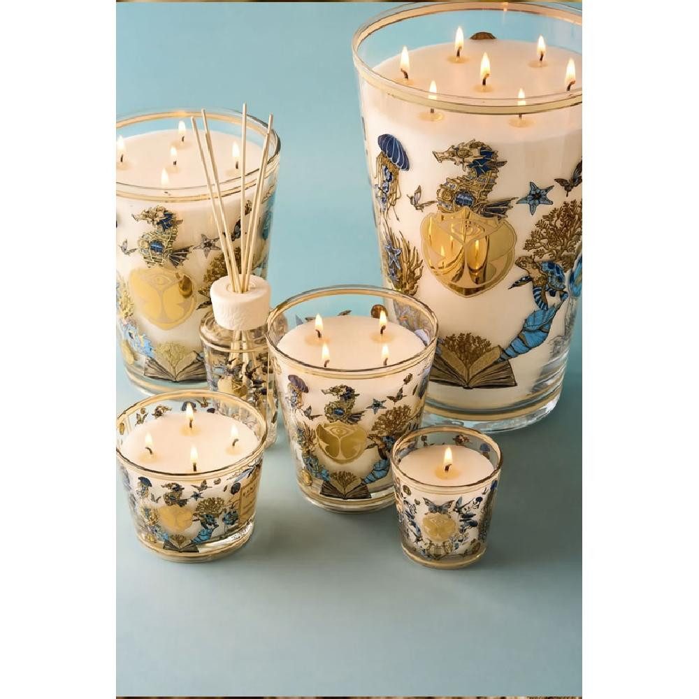 Baobab Duftkerze Duftkerze Tomorrowland 2026 Max 24 (3kg)