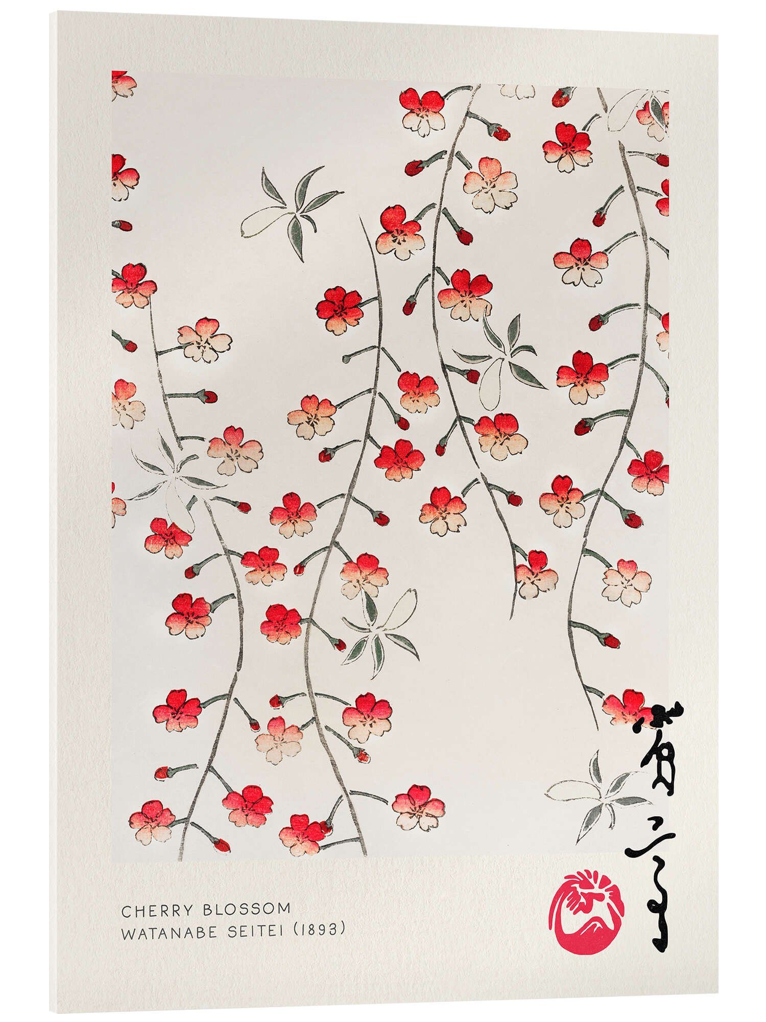 Posterlounge Acrylglasbild Watanabe Seitei, Japandi - Cherry Blossom, Wohnzimmer Minimalistisch Malerei