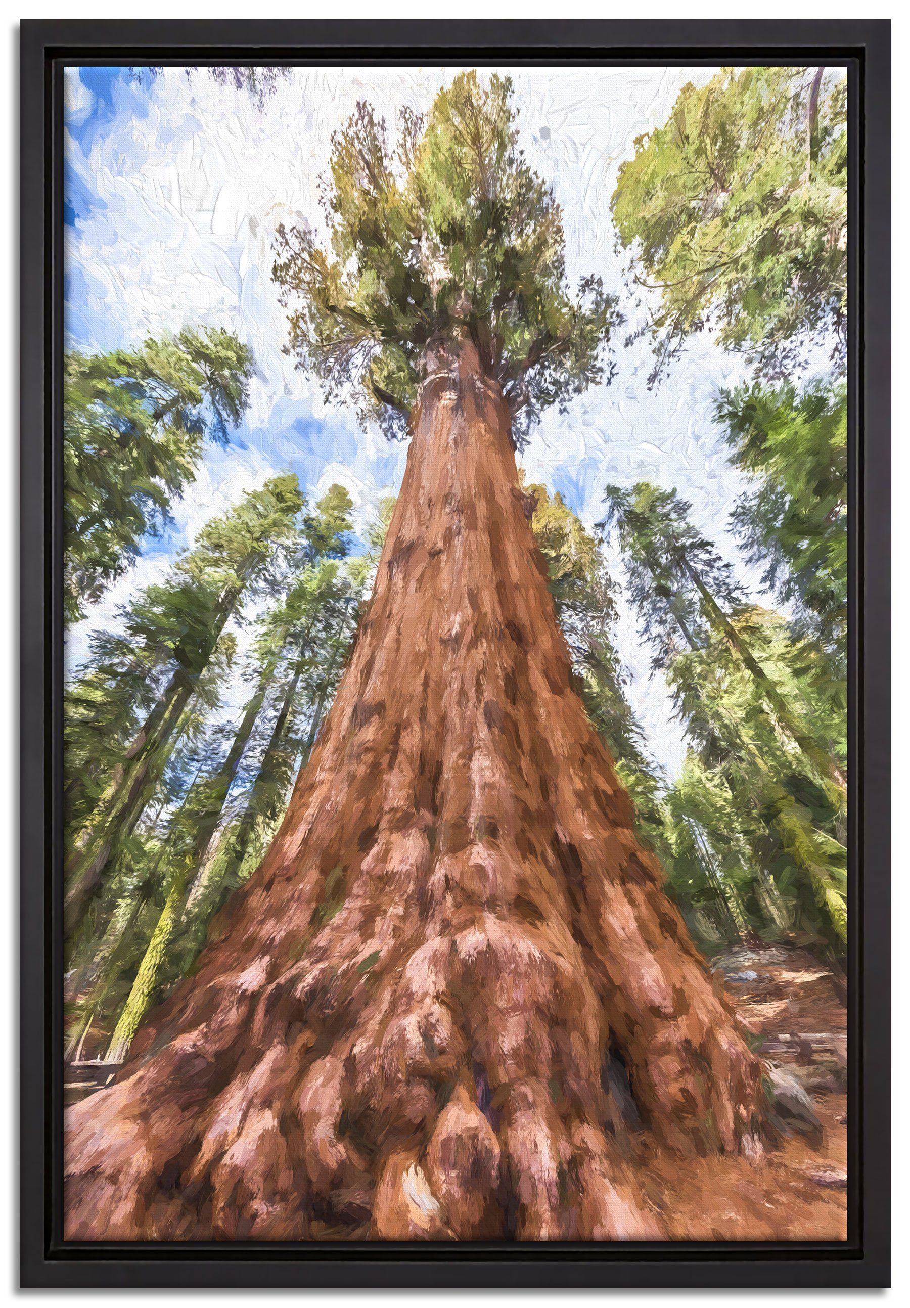 Pixxprint Leinwandbild Mammutbaum im Regenwald, Wanddekoration (1 St), Leinwandbild fertig bespannt, in einem Schattenfugen-Bilderrahmen gefasst, inkl. Zackenaufhänger