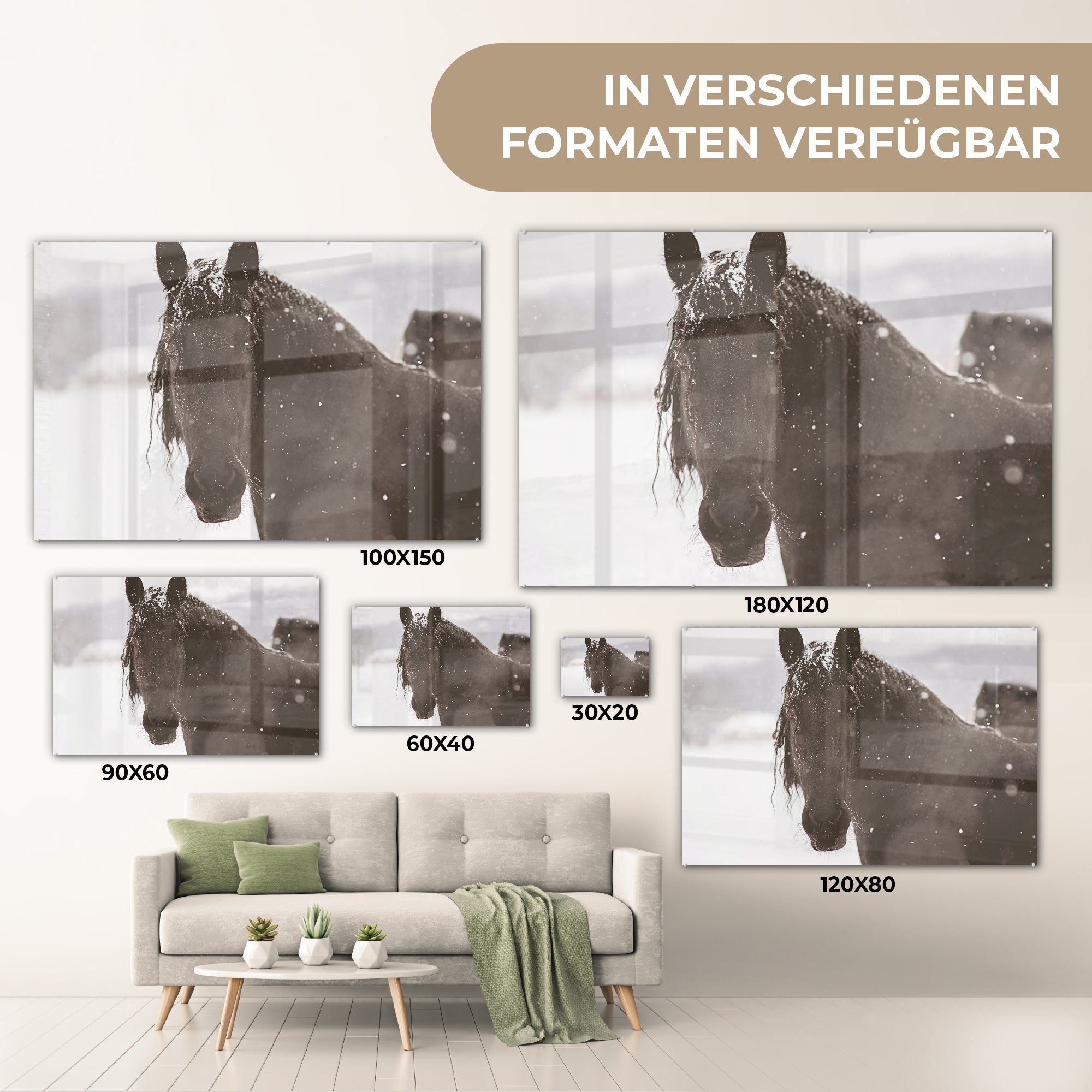 Schnee, Pferd Acrylglasbild im MuchoWow (1 Friesisches Wohnzimmer & St), Acrylglasbilder Schlafzimmer