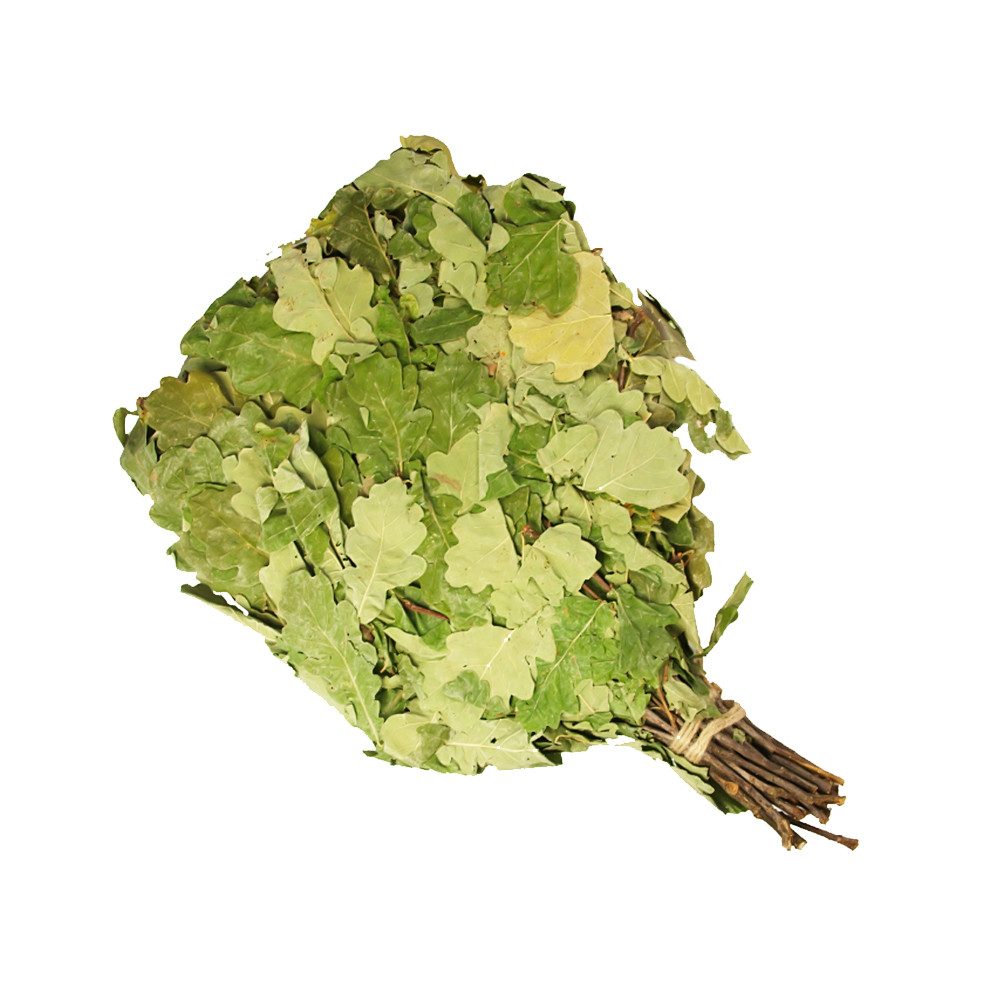 Saunabürste Eichenreisig 55-60 cm Aufgussquast Saunabesen Banja Venik Eiche