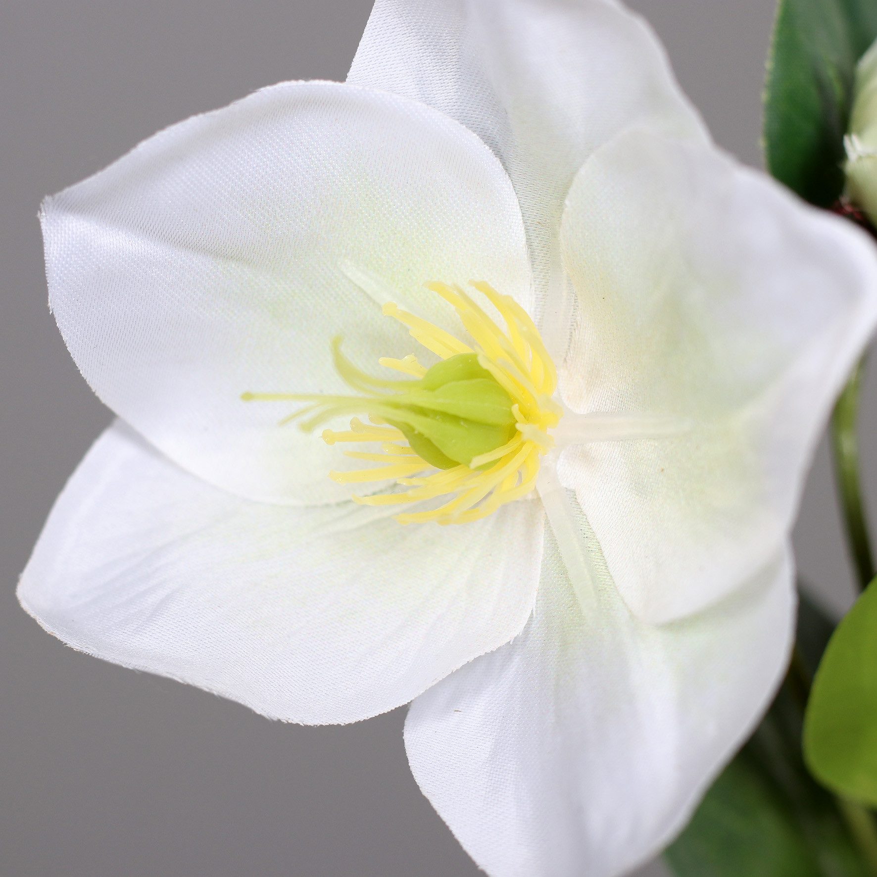 Kunstblume Christrosenzweig 35cm DP künstliche Christrose Schneerose Blumen günstig online kaufen