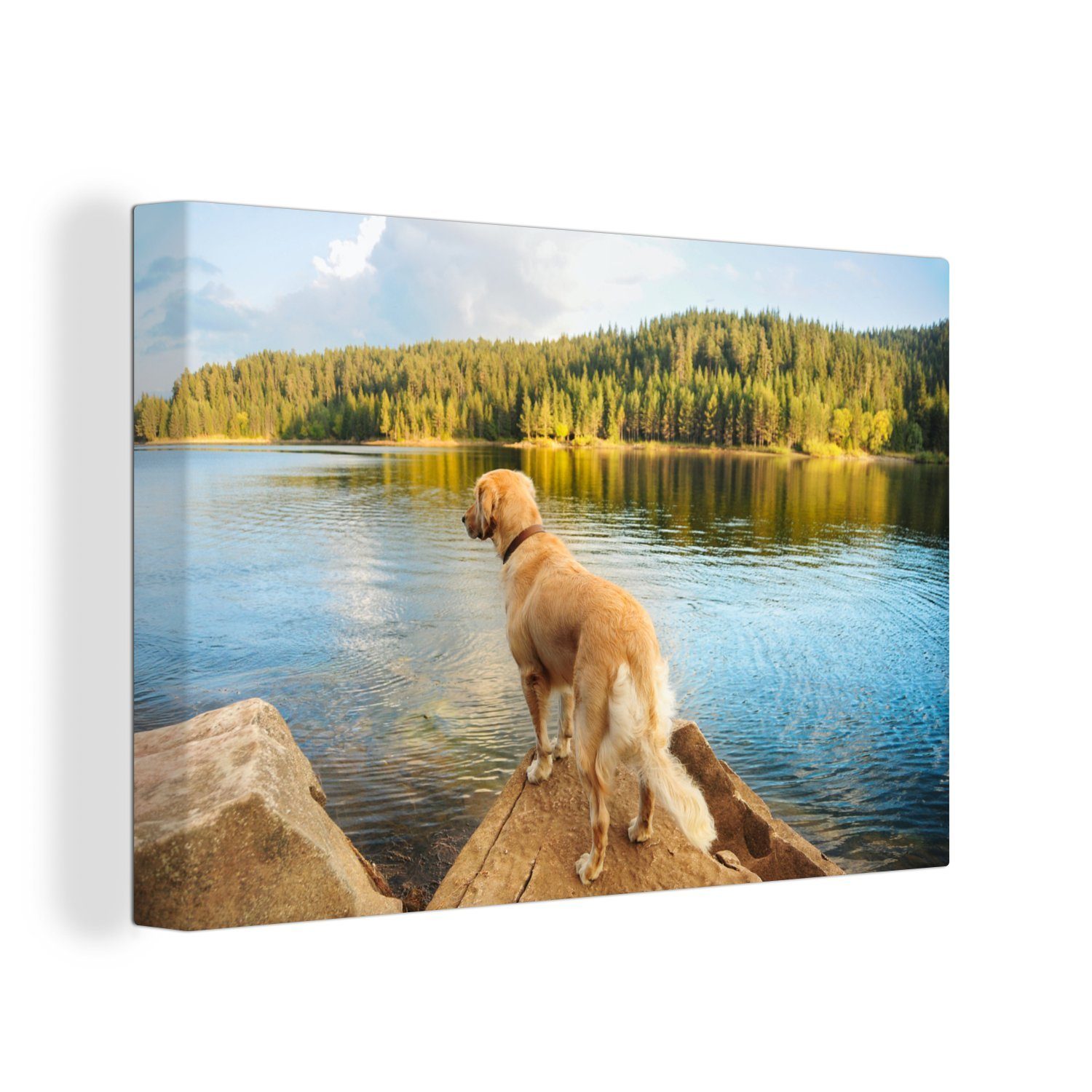 OneMillionCanvasses® Leinwandbild Ein Golden Retriever mit Blick auf einen schönen See, (1 St), Wandbild Leinwandbilder, Aufhängefertig, Wanddeko, 30x20 cm