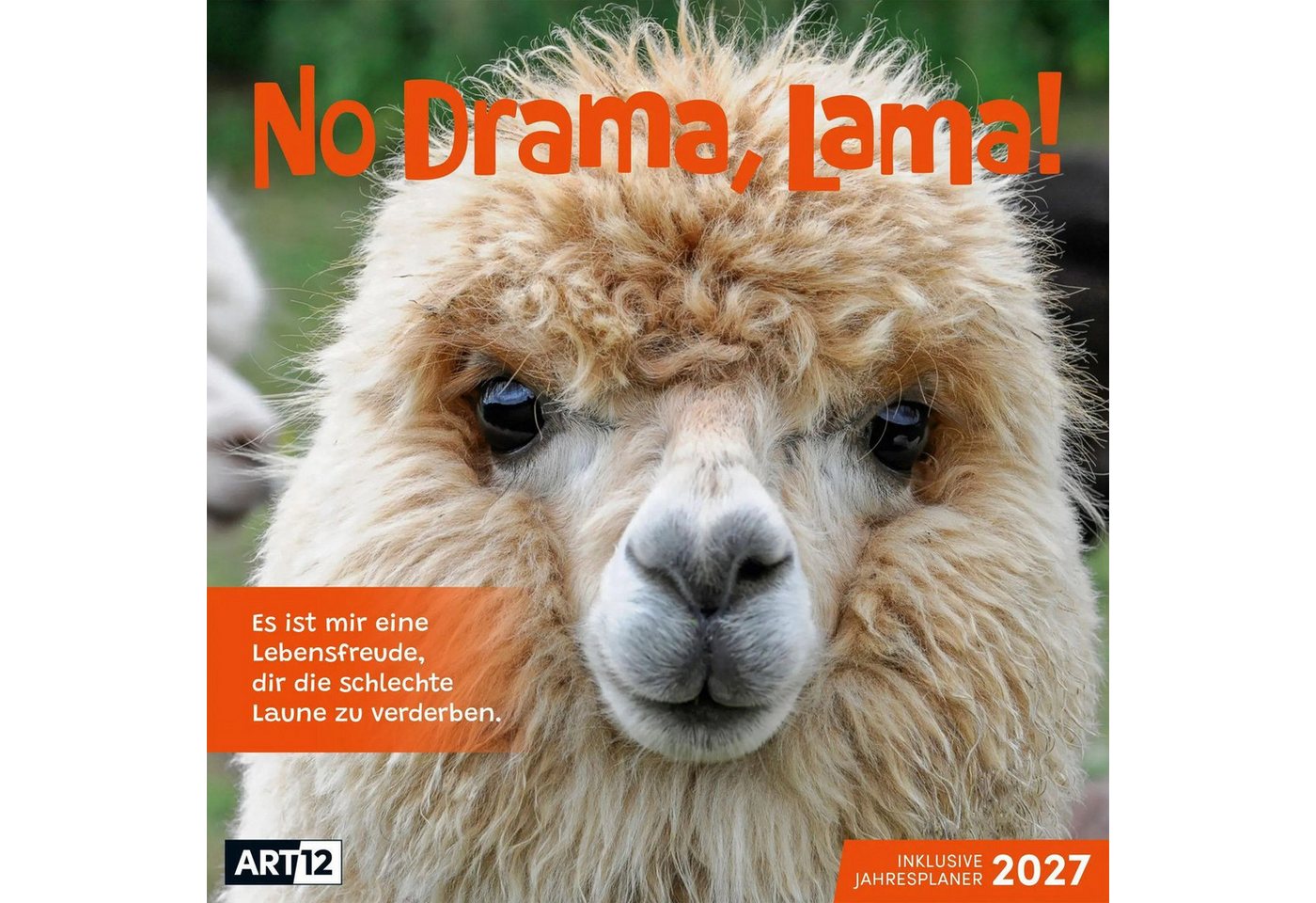 Ackermann Wandkalender No Drama, Lama Kalender 2027 - 30x30 - Art12