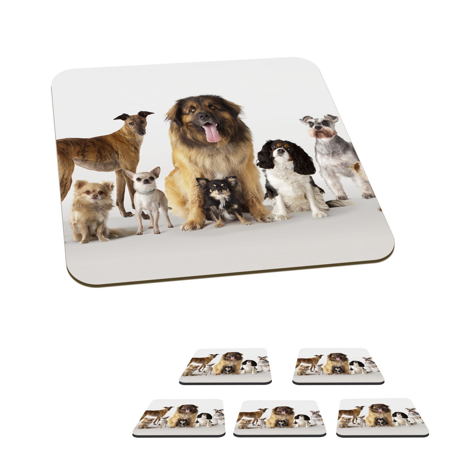 MuchoWow Glasuntersetzer Gruppenbild von Hunden, Zubehör für Gläser, 6-tlg., Glasuntersetzer, Tischuntersetzer, Korkuntersetzer, Untersetzer, Tasse