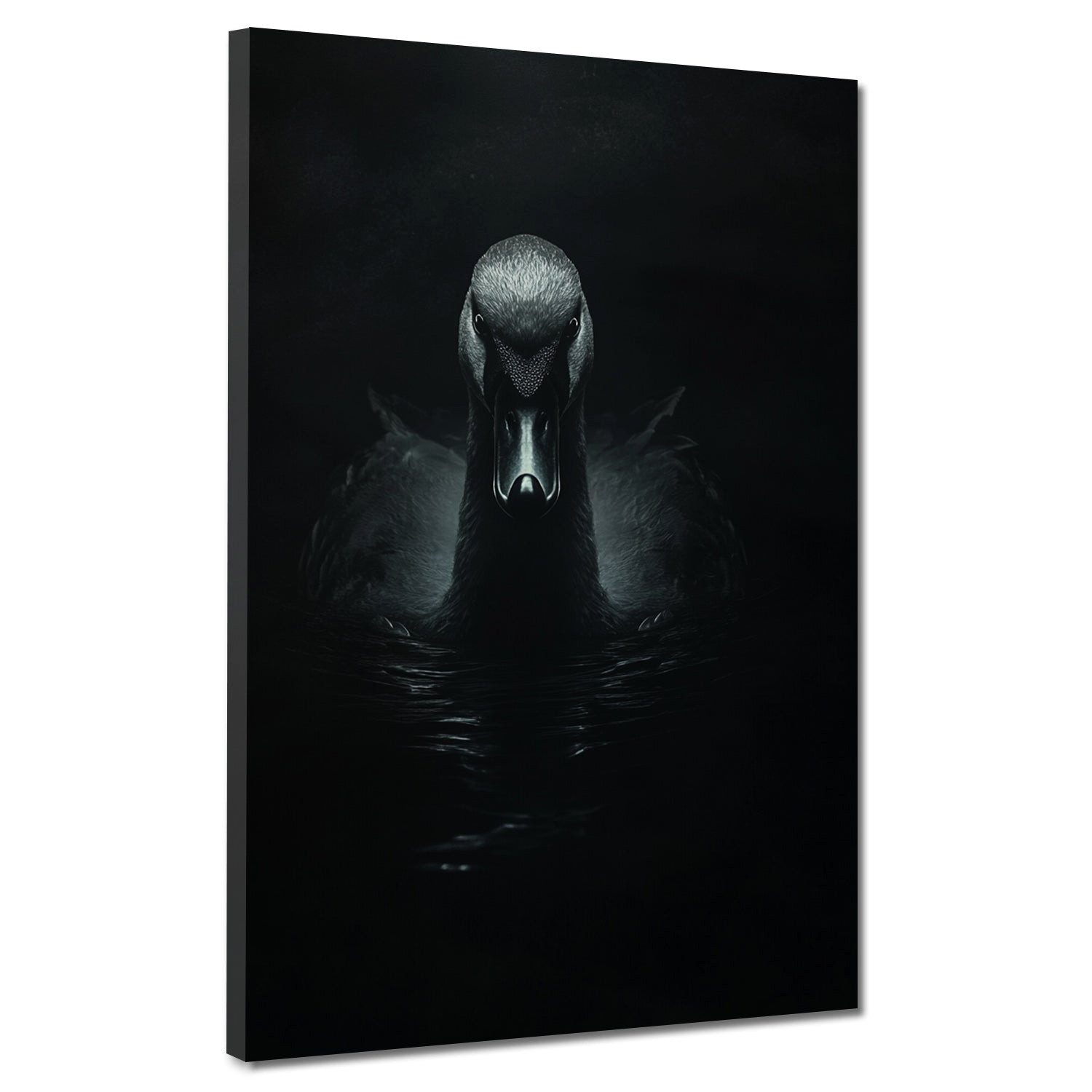 Artedinoi Leinwandbild Schwan im dunklen Wasser Eleganz Mystik Leinwandbild Wandbild XL Wandd, Schwan im dunklen Wasser, mystisch