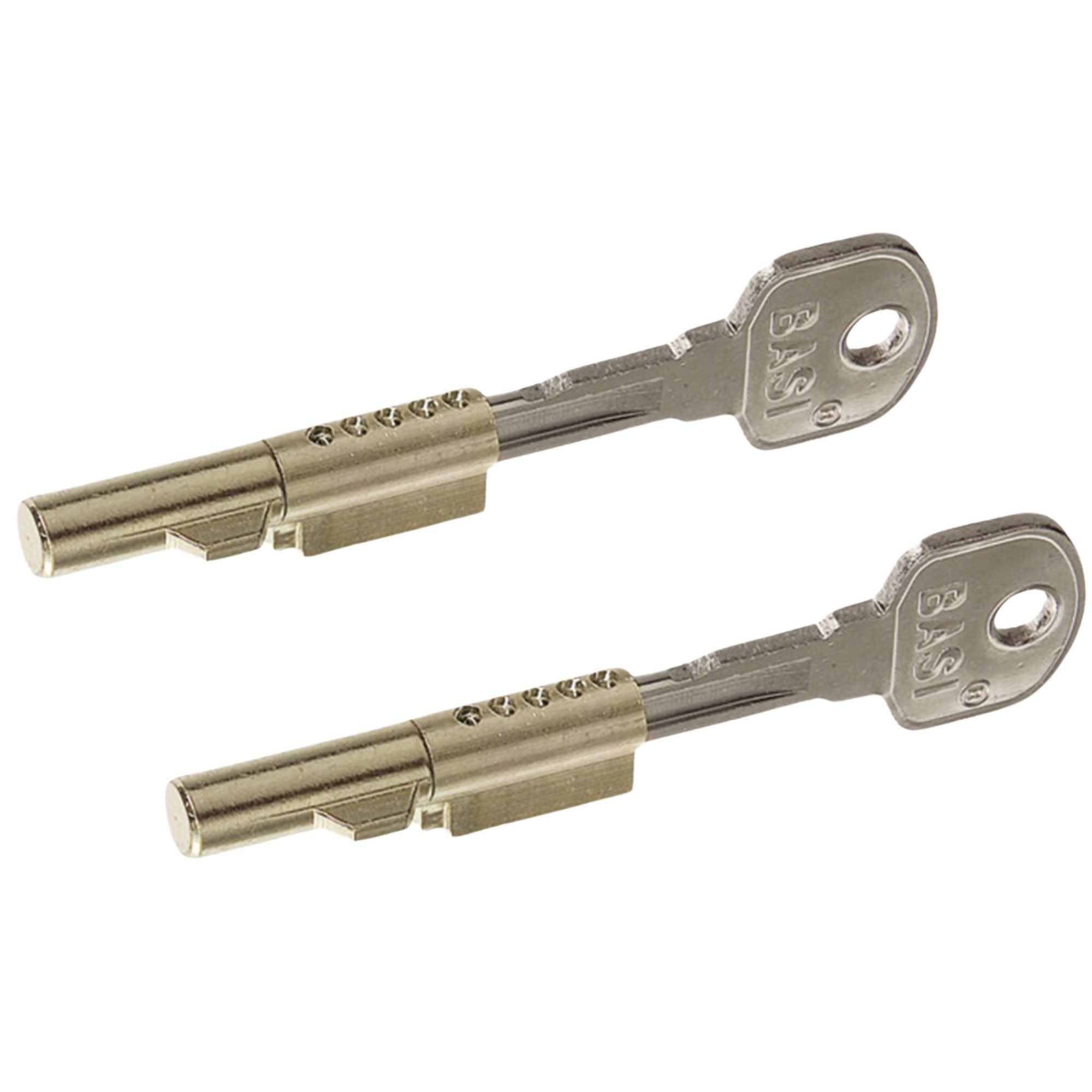BASI Türriegel Schlüssellochsperrer für Buntbart-Schlösser, (Packung, 2-tlg), 2er Set, Gleichschließend, Sicherung BB-Schloss, 2 Stück, 4 Schlüssel