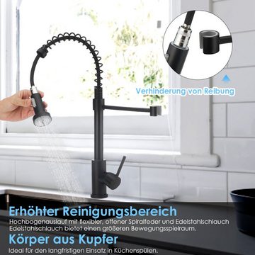 iscooter Küchenarmatur Edelstahl Wasserhahn, Ausziehbar Einhandmischer 360° schwenkbar, 2-fach verstellbar