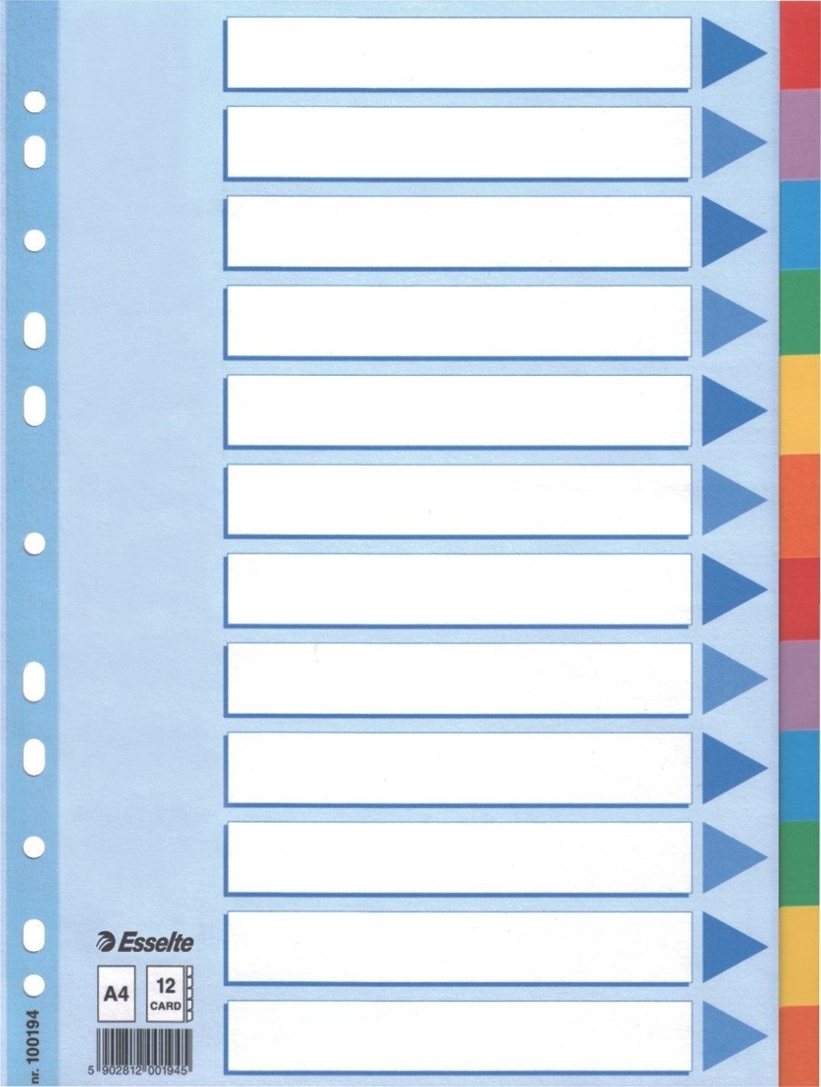 ESSELTE Aktenordner Register A4 160g/qm Karton 12-teilig