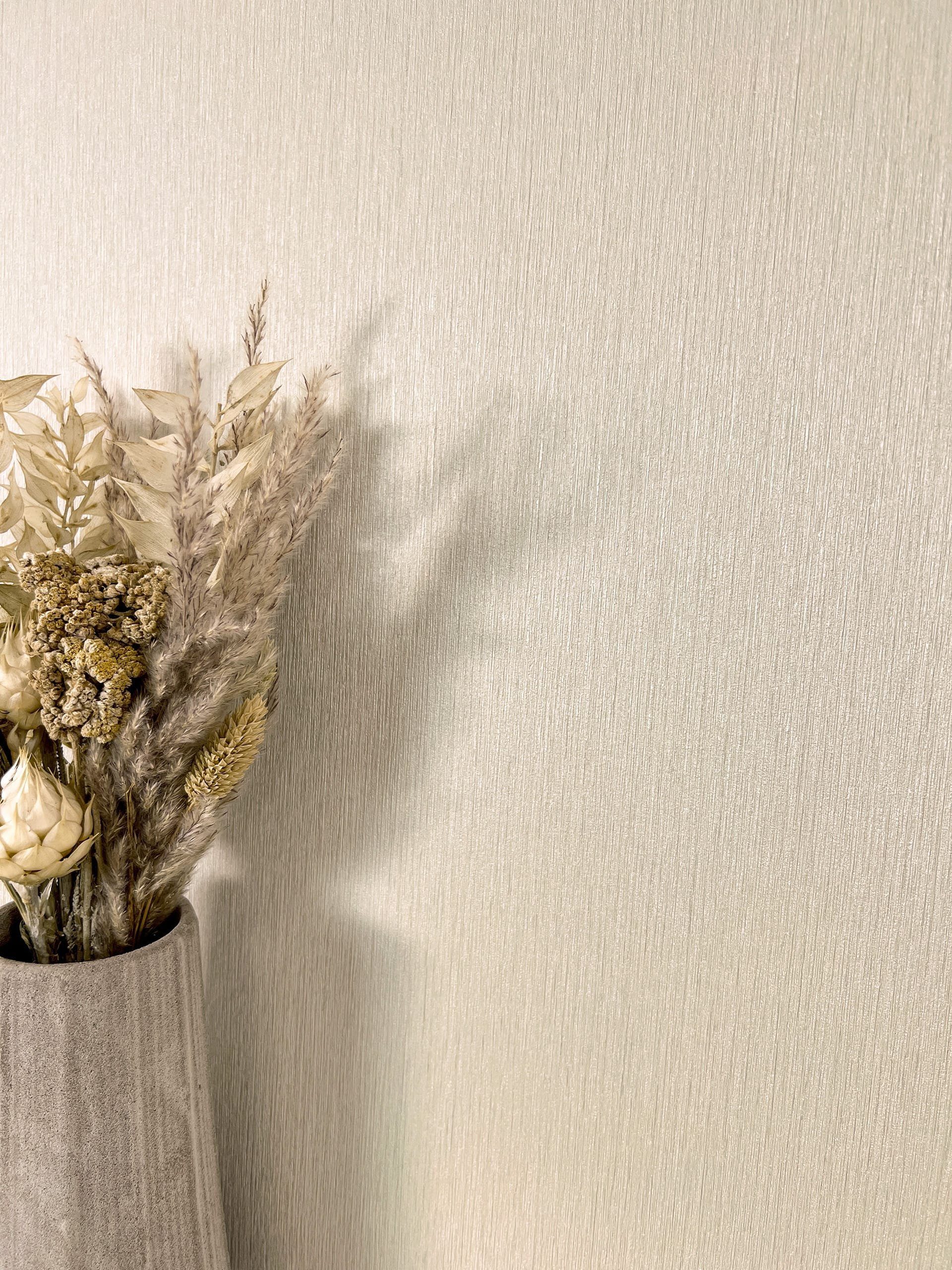 Newroom Vliestapete, Beige Tapete Modern Unifarbe günstig online kaufen