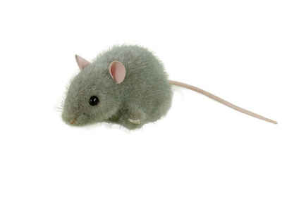 Kösen Kuscheltier Maus grau Pops 10 cm (ohne Schwanz) Plüschmaus
