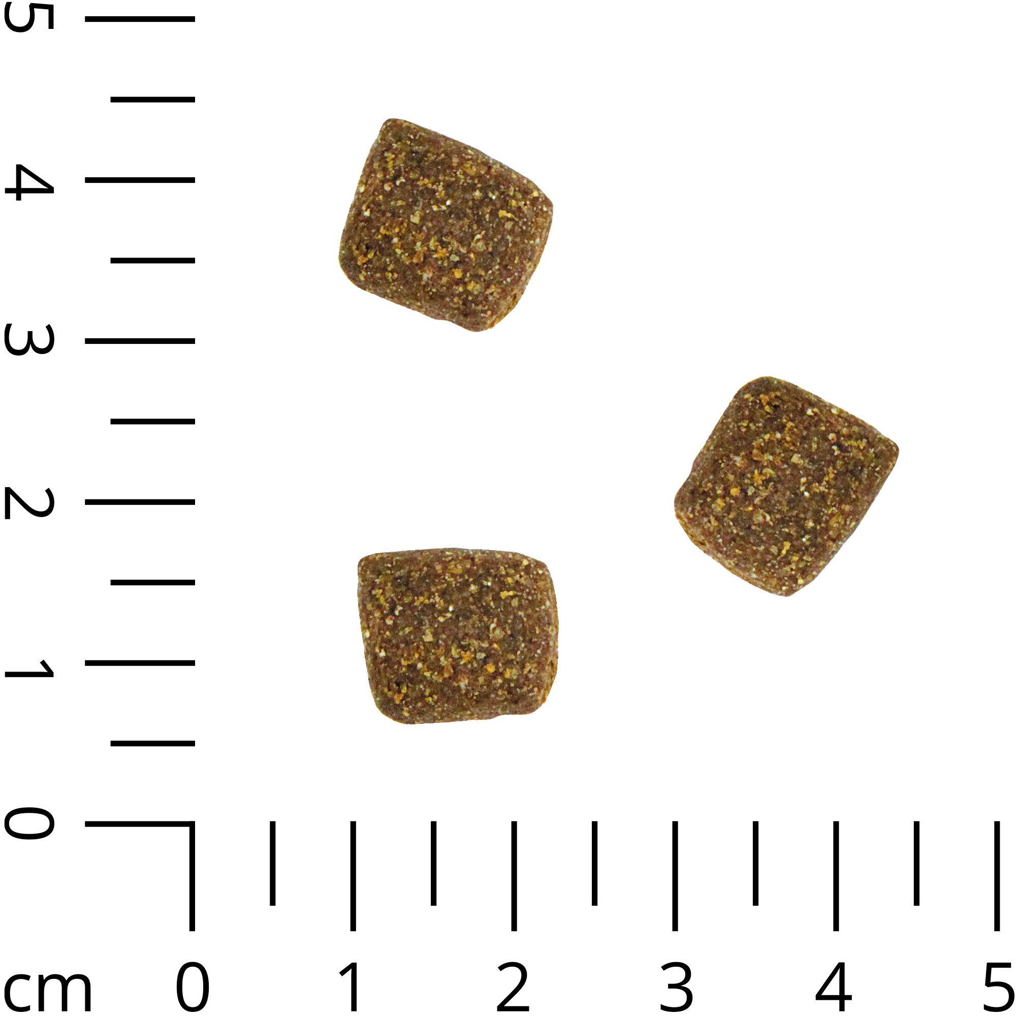 Schecker Schecker Trockenfutter Strauß & Mais - hypoallergen Strauß, Trockenfutter für: Hunde, mit cholesterinarmen Straußenfleisch