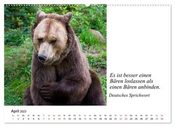CALVENDO Wandkalender Tierische Weisheiten (Premium, hochwertiger DIN A2 Wandkalender 2023, Kunstdruck in Hochglanz)