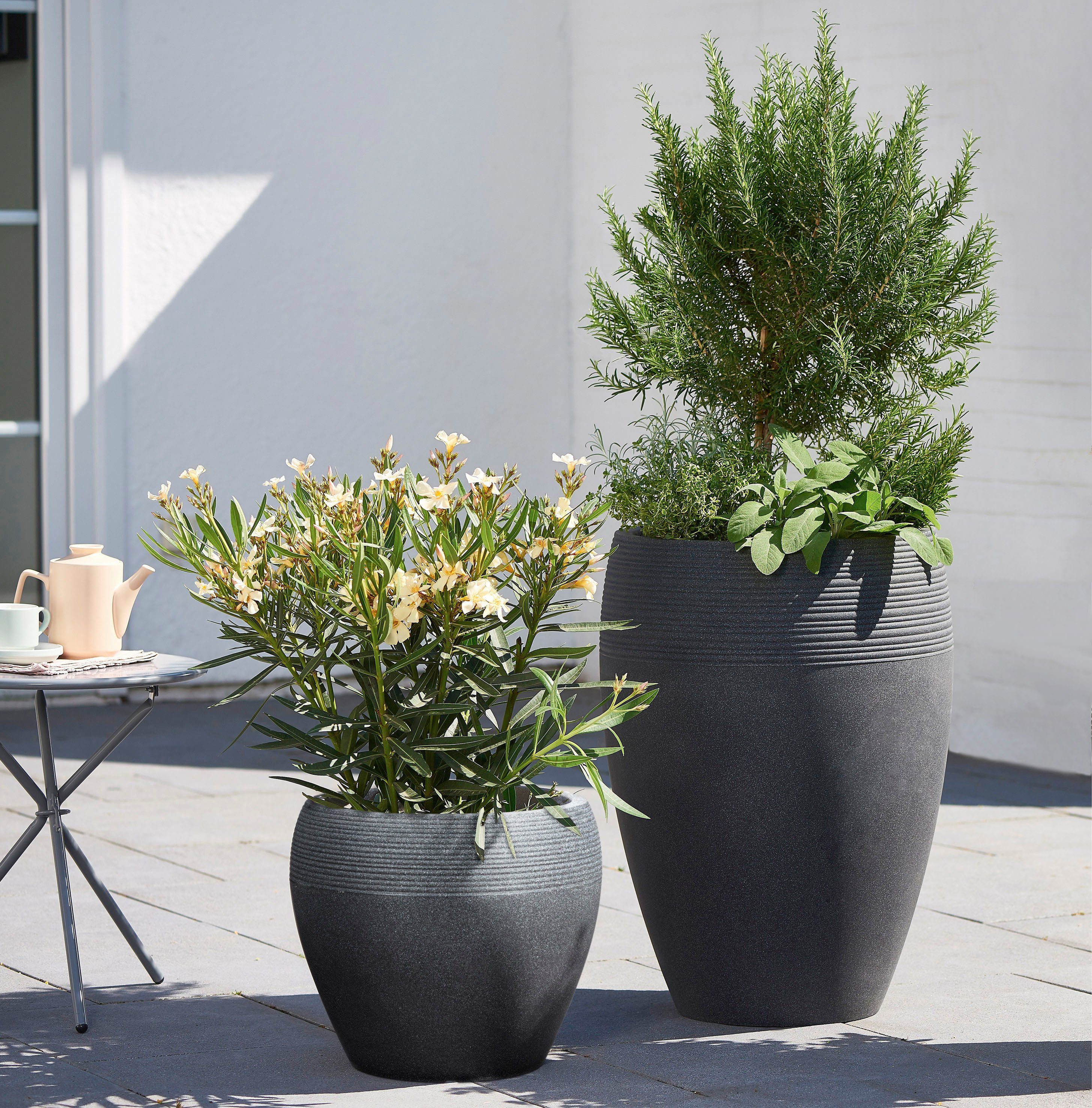 Scheurich Blumentopf 54/283 LINEO HIGH 54 günstig online kaufen