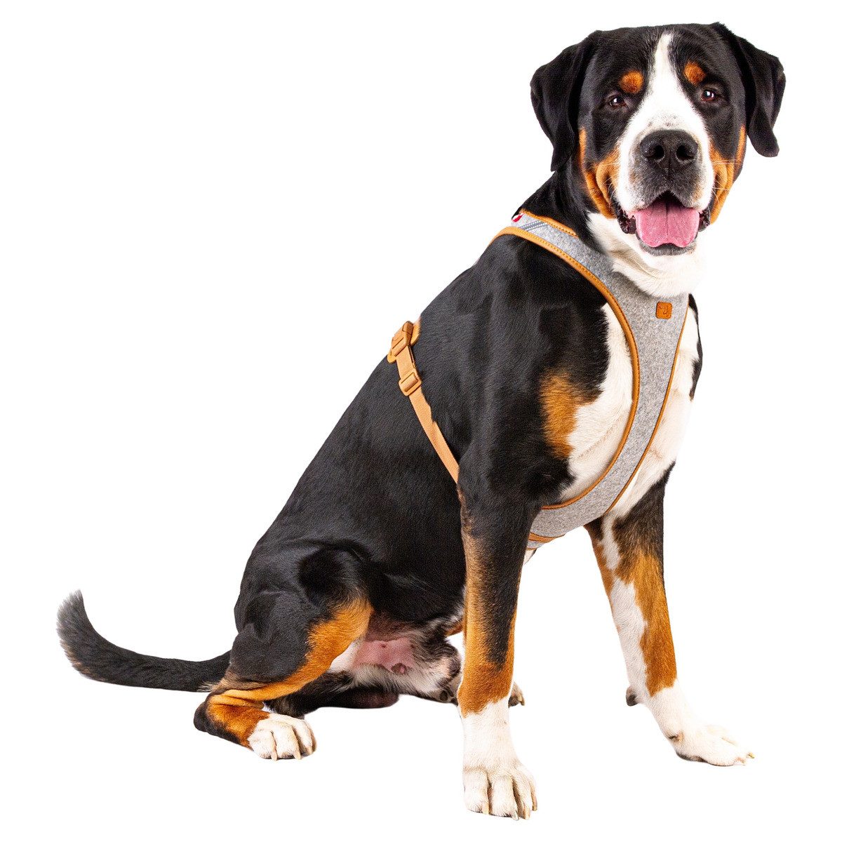 Curli Hunde-Geschirr Belka Geschirr Alpine Gray