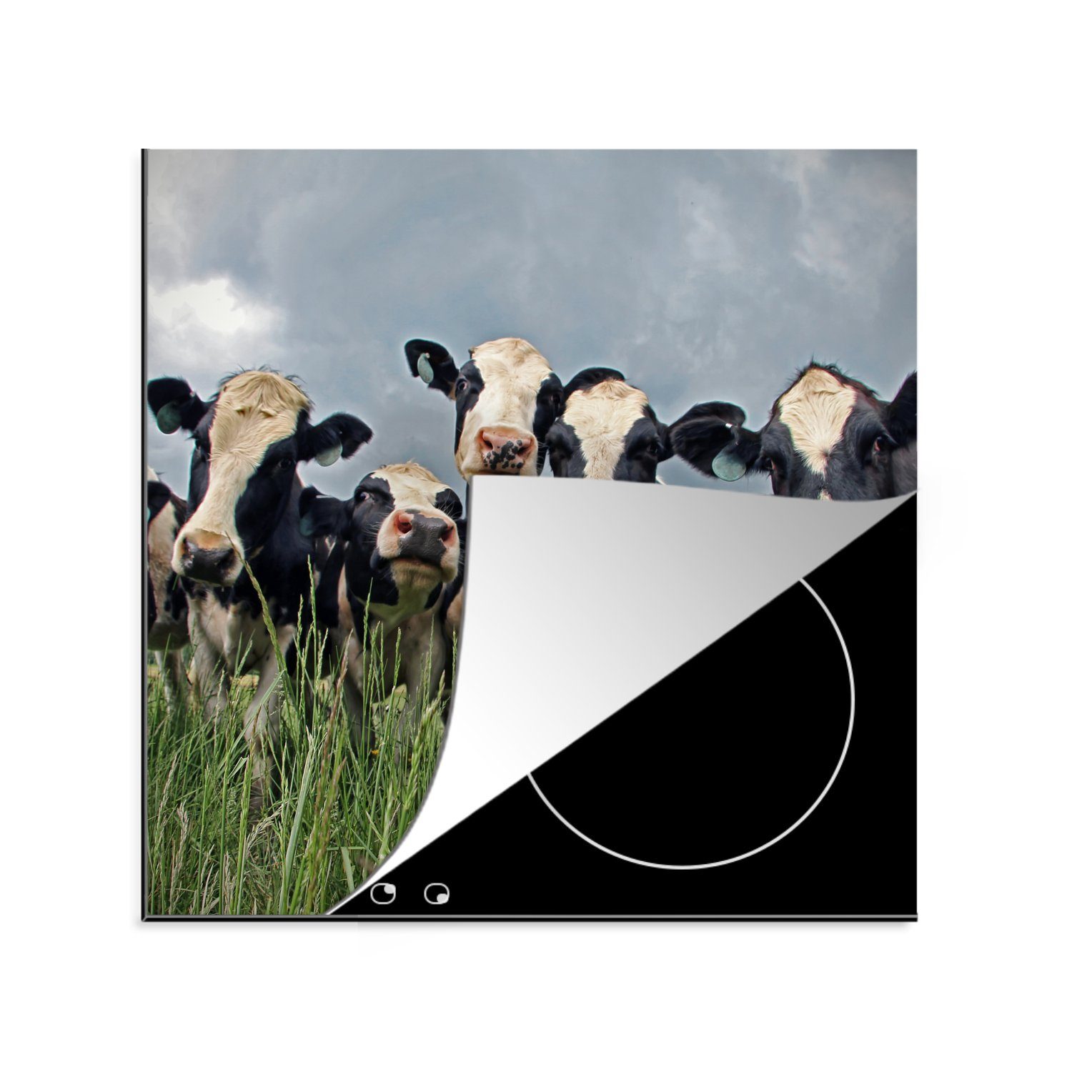 MuchoWow Herdblende-/Abdeckplatte Kuh - Wolken - Gras - Tiere, Vinyl, (1 tlg), 78x78 cm, Ceranfeldabdeckung, Arbeitsplatte für küche