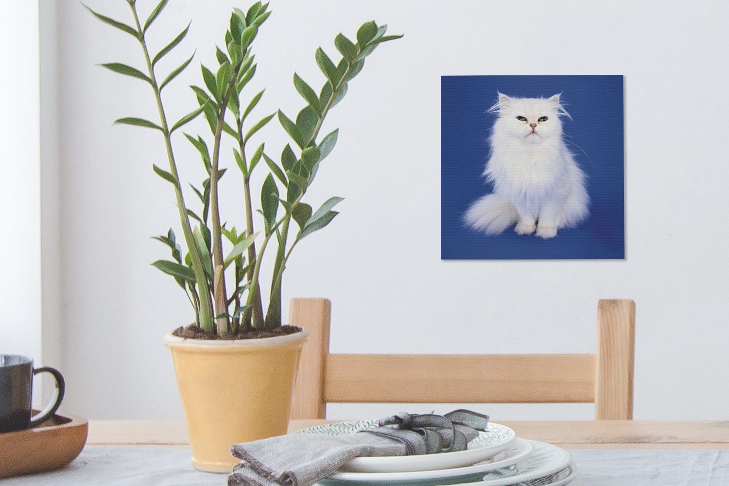 OneMillionCanvasses® Leinwandbild Weiße Perserkatze Wohnzimmer Bilder (1 Hintergrund, mit Schlafzimmer Leinwand St), für blauem
