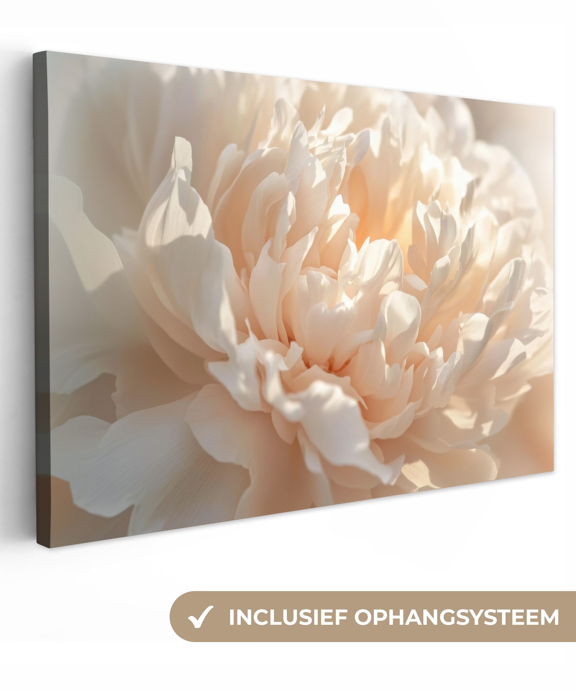 OneMillionCanvasses® Leinwandbild Nahaufnahme - Pfingstrose - Hellrosa, Fotodruck (1 St), Wandbild XXL für Wohnzimmer Küche 120x80 cm
