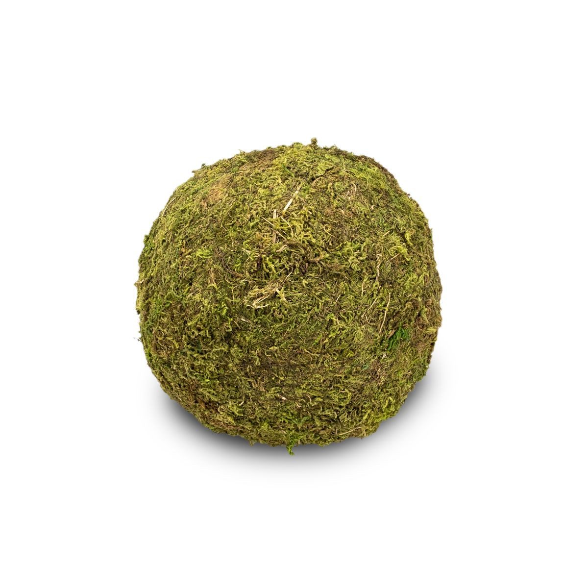 NaDeco Bastelnaturmaterial Moos Ball in Ø 15 cm Moos Kugel