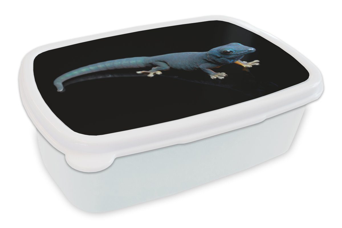 auf für und für Brotdose, Kunststoff, Mädchen Brotbox Kinder Jungs MuchoWow Hintergrund, (2-tlg), und schwarzem Erwachsene, weiß Blauer Lunchbox Gecko