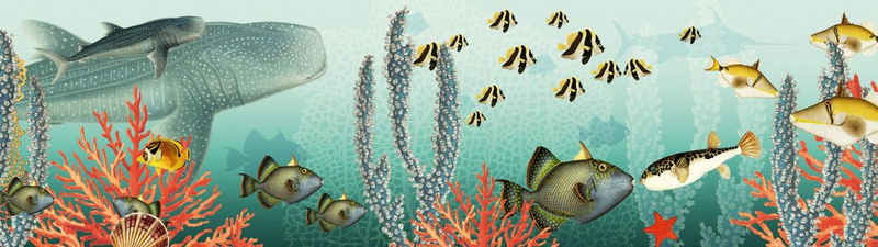 anna wand Bordüre Unterwasserwelt / Fische & Korallen - mehrfarbig - selbstklebend, Meer, selbstklebend