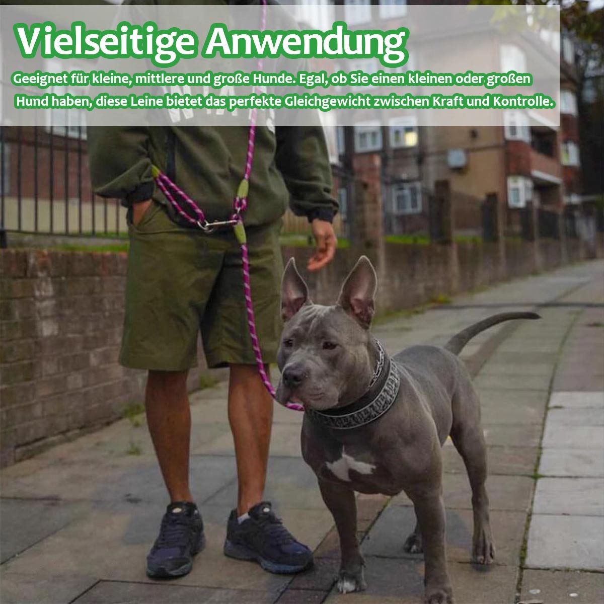 Refttenw Hundeleine Freihandleinen Hundeleine,schleppleine,Reflektierend,250cm