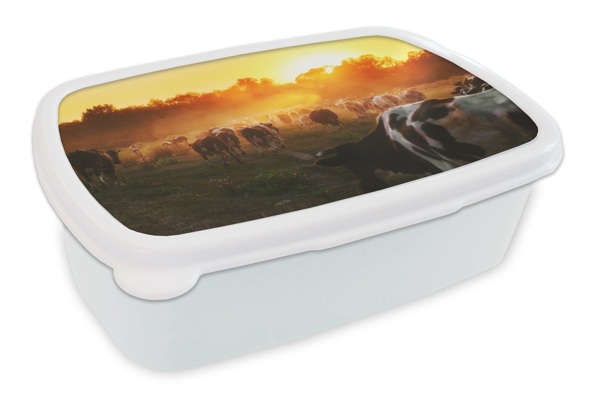 MuchoWow Lunchbox Kühe - Sonnenuntergang - Wiese - Tiere, Kunststoff, (2-tlg), Brotbox für Kinder und Erwachsene, Brotdose, für Jungs und Mädchen weiß