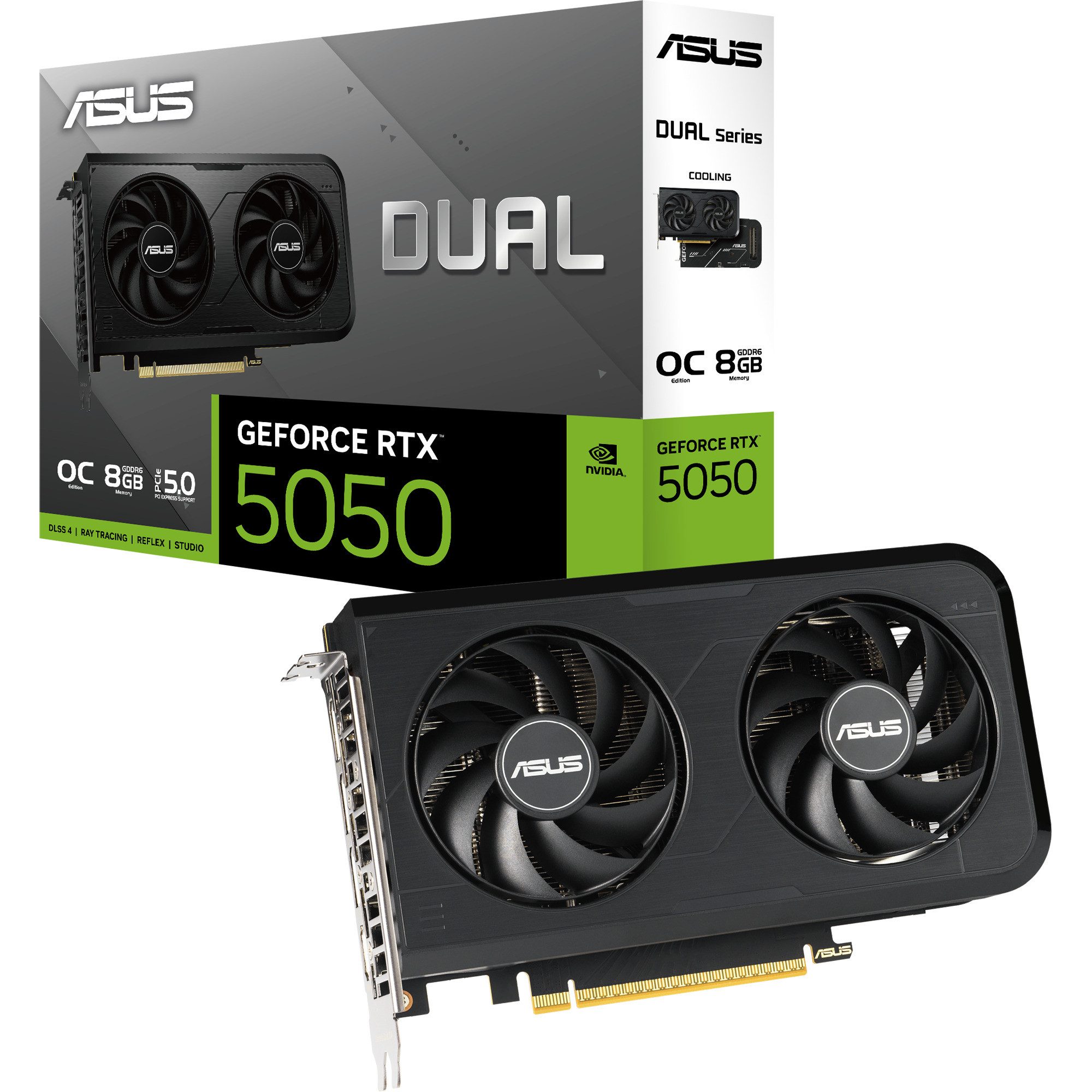 ASUS GeForce RTX 5050 DUAL OC 8GB, Grafikkarte, Grafikkarte