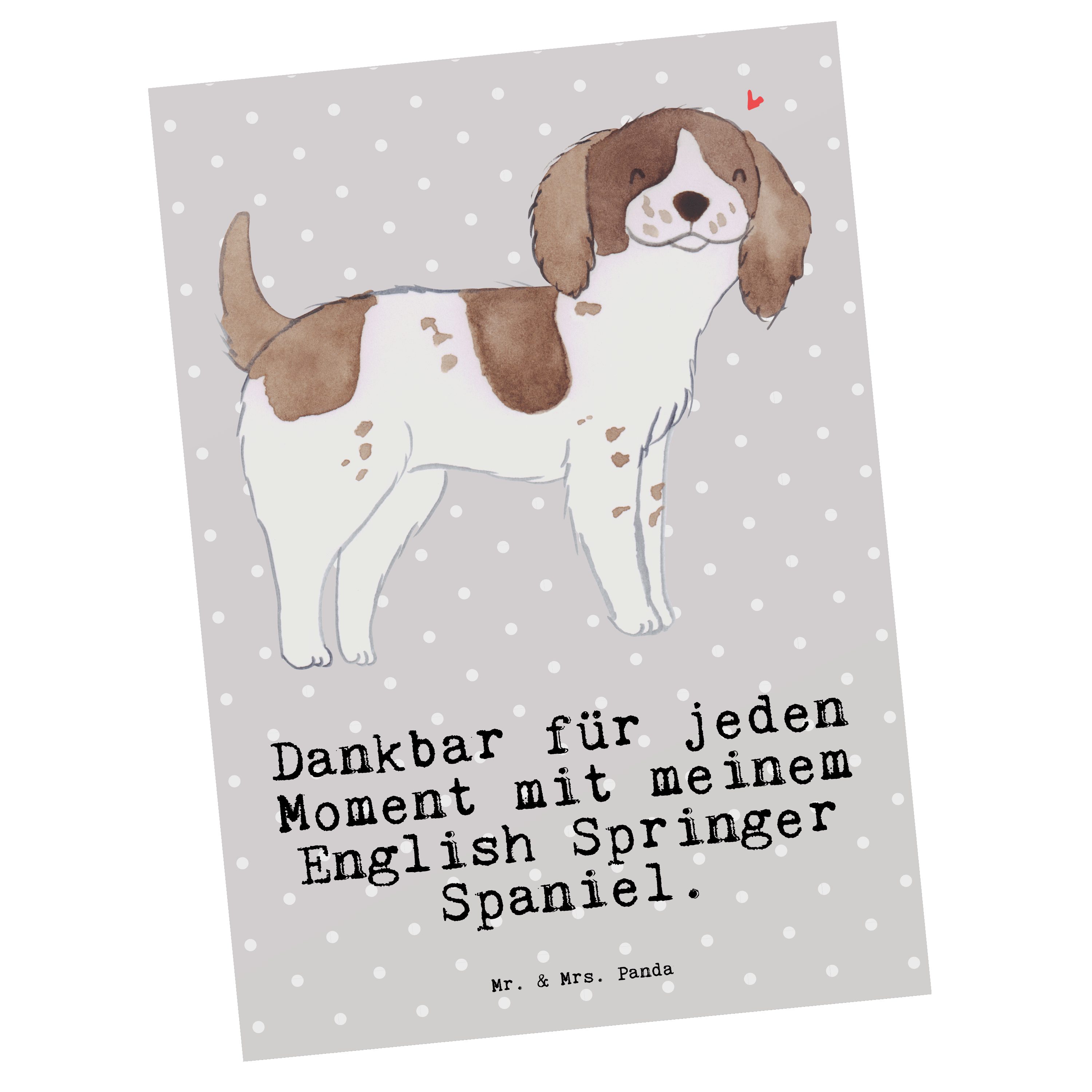 Mr. & Mrs. Panda Postkarte English Springer Spaniel Moment - Grau Pastell - Geschenk, Welpe, Ein