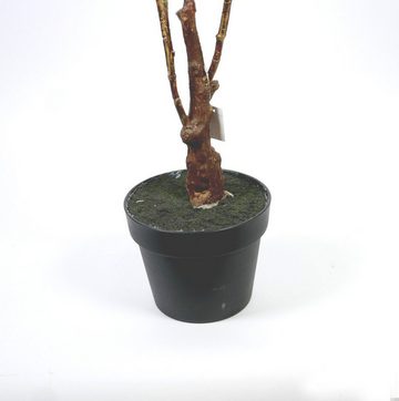 Kunstpflanze Kunstgewächs Dekopflanze Gingko 120 cm hoch Gingko, B&S, Höhe 110 cm