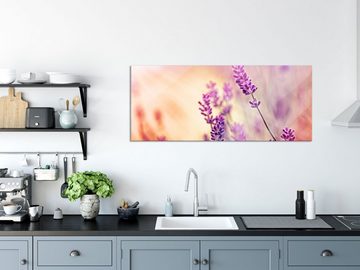 Pixxprint Glasbild Eleganter Lavendel, Eleganter Lavendel (1 St), Glasbild aus Echtglas, inkl. Aufhängungen und Abstandshalter